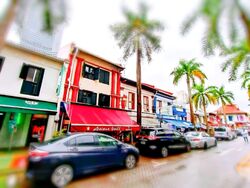 Arab Street (D7), Retail #567533951